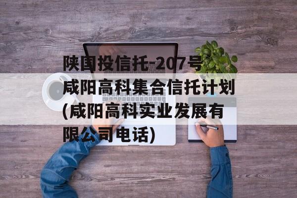 陕国投信托-207号咸阳高科集合信托计划(咸阳高科实业发展有限公司电话)