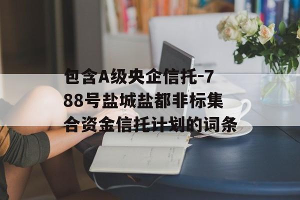 包含A级央企信托-788号盐城盐都非标集合资金信托计划的词条