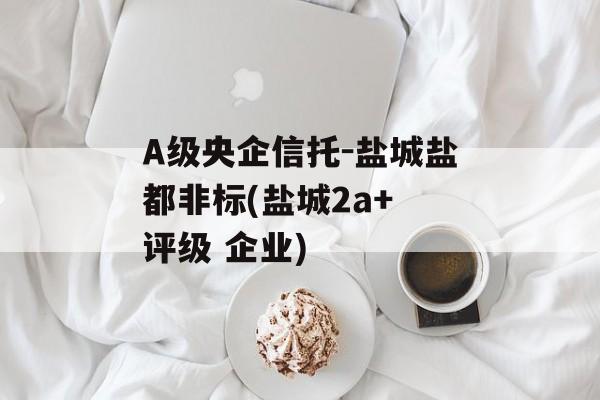 A级央企信托-盐城盐都非标(盐城2a+ 评级 企业)