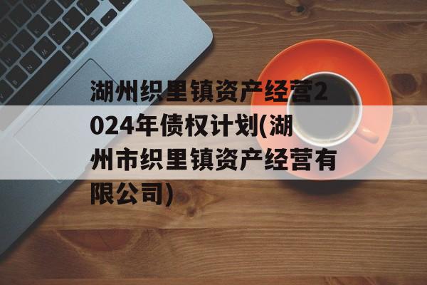 湖州织里镇资产经营2024年债权计划(湖州市织里镇资产经营有限公司)