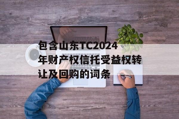 包含山东TC2024年财产权信托受益权转让及回购的词条