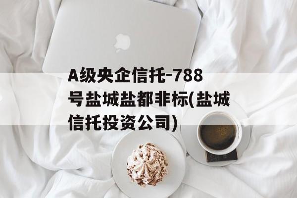 A级央企信托-788号盐城盐都非标(盐城信托投资公司)