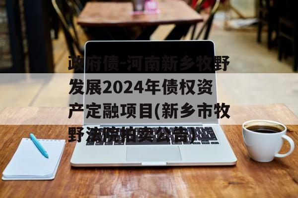 政府债-河南新乡牧野发展2024年债权资产定融项目(新乡市牧野法院拍卖公告)