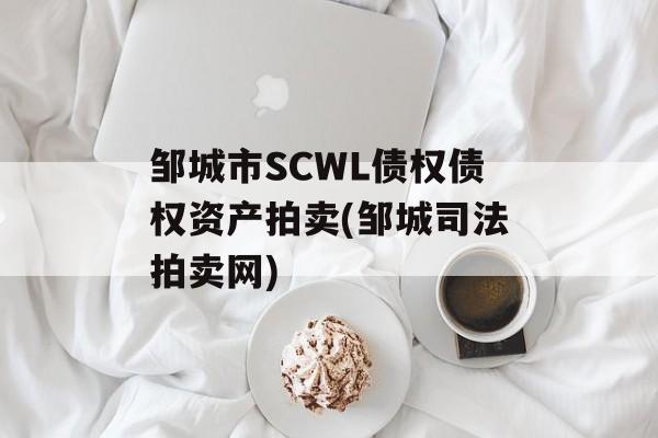 邹城市SCWL债权债权资产拍卖(邹城司法拍卖网)