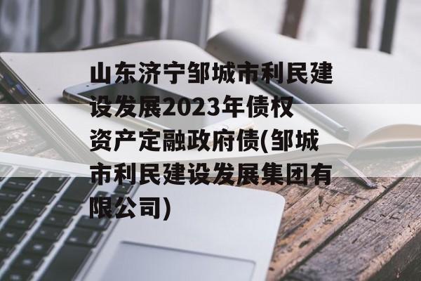 山东济宁邹城市利民建设发展2023年债权资产定融政府债(邹城市利民建设发展集团有限公司)