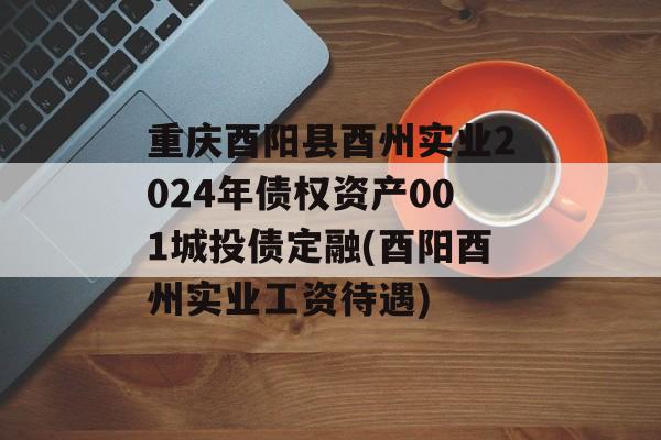 重庆酉阳县酉州实业2024年债权资产001城投债定融(酉阳酉州实业工资待遇)