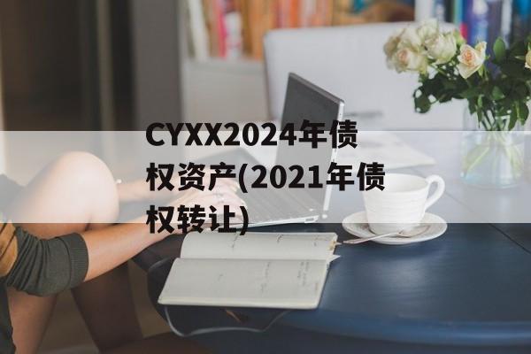 CYXX2024年债权资产(2021年债权转让)