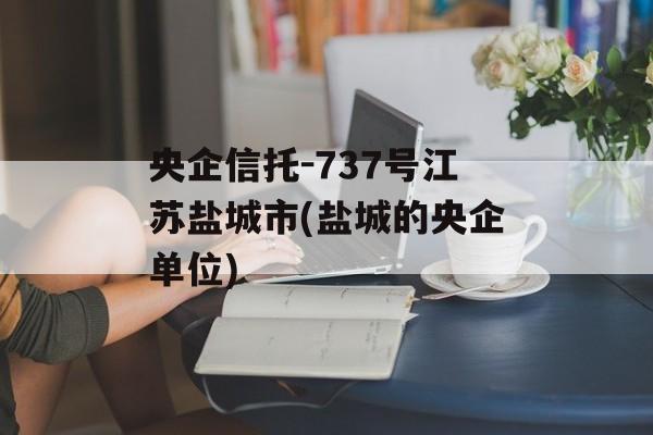 央企信托-737号江苏盐城市(盐城的央企单位)