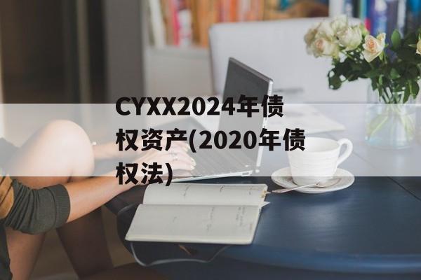 CYXX2024年债权资产(2020年债权法)