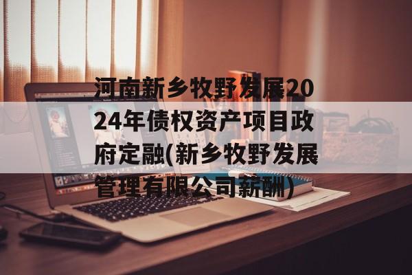 河南新乡牧野发展2024年债权资产项目政府定融(新乡牧野发展管理有限公司薪酬)