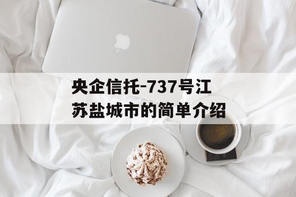 央企信托-737号江苏盐城市的简单介绍