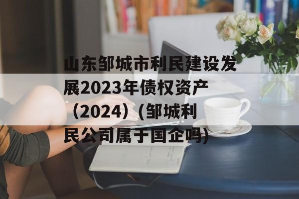 山东邹城市利民建设发展2023年债权资产（2024）(邹城利民公司属于国企吗)