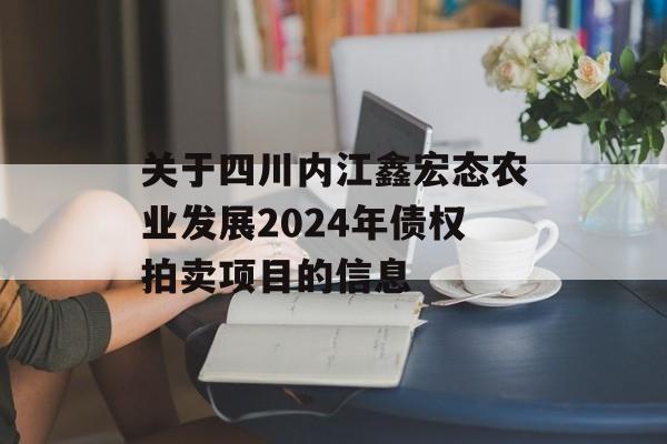 关于四川内江鑫宏态农业发展2024年债权拍卖项目的信息