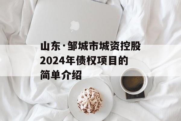山东·邹城市城资控股2024年债权项目的简单介绍