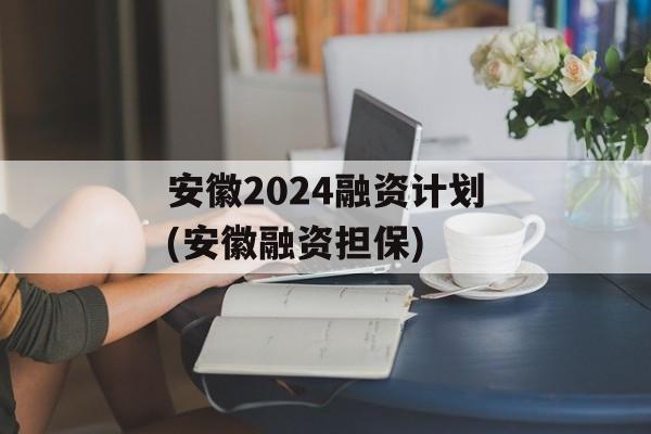 安徽2024融资计划(安徽融资担保)