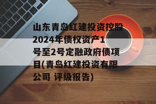 山东青岛红建投资控股2024年债权资产1号至2号定融政府债项目(青岛红建投资有限公司 评级报告)