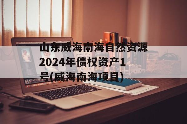 山东威海南海自然资源2024年债权资产1号(威海南海项目)