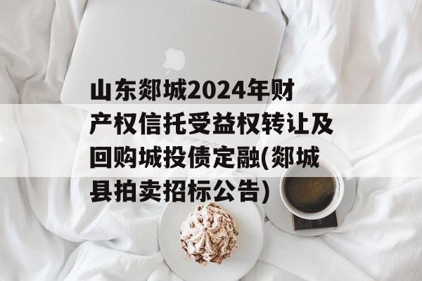 山东郯城2024年财产权信托受益权转让及回购城投债定融(郯城县拍卖招标公告)