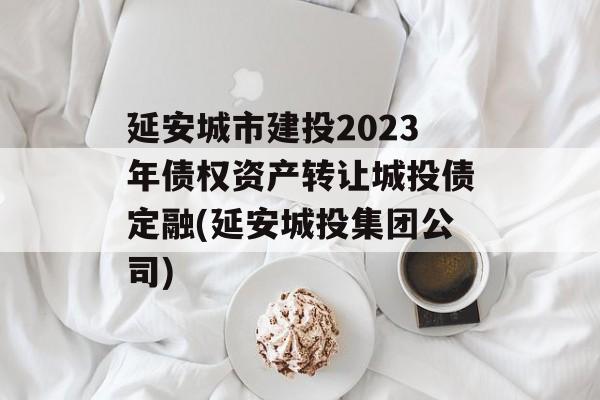 延安城市建投2023年债权资产转让城投债定融(延安城投集团公司)