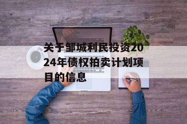关于邹城利民投资2024年债权拍卖计划项目的信息