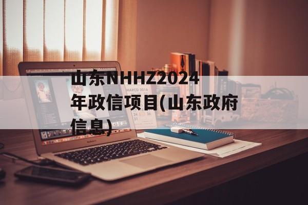 山东NHHZ2024年政信项目(山东政府信息)