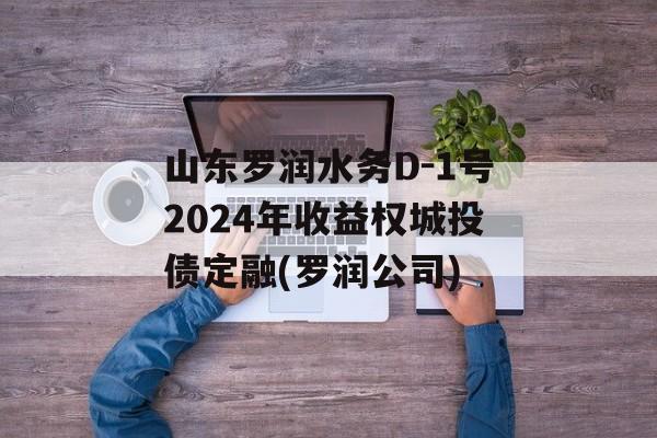 山东罗润水务D-1号2024年收益权城投债定融(罗润公司)