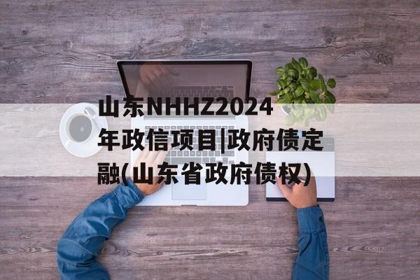 山东NHHZ2024年政信项目|政府债定融(山东省政府债权)