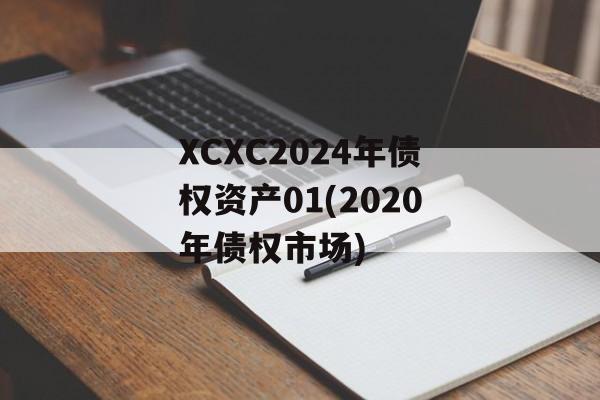 XCXC2024年债权资产01(2020年债权市场)