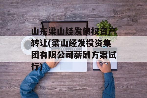 山东梁山经发债权资产转让(梁山经发投资集团有限公司薪酬方案试行)