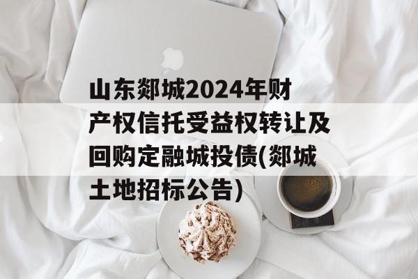 山东郯城2024年财产权信托受益权转让及回购定融城投债(郯城土地招标公告)