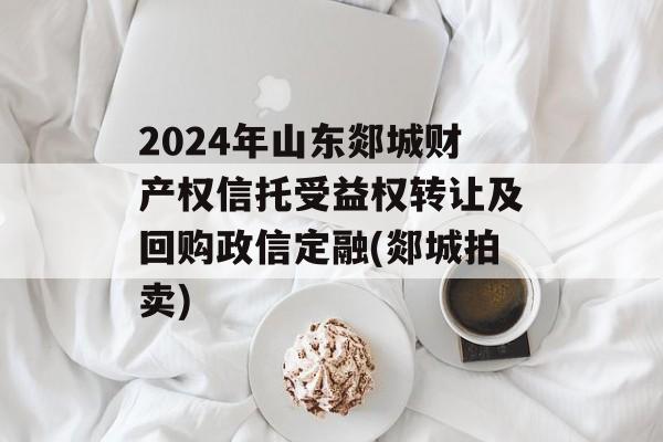 2024年山东郯城财产权信托受益权转让及回购政信定融(郯城拍卖)