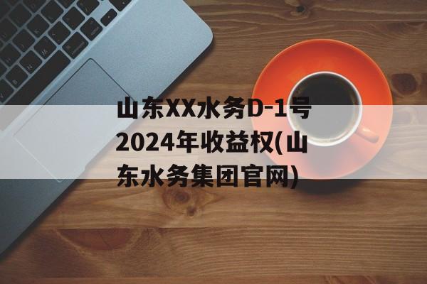 山东XX水务D-1号2024年收益权(山东水务集团官网)