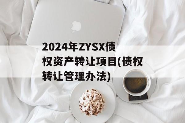 2024年ZYSX债权资产转让项目(债权转让管理办法)