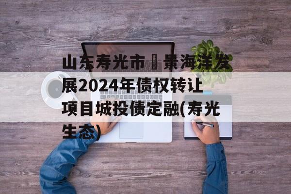 山东寿光市昇景海洋发展2024年债权转让项目城投债定融(寿光生态)