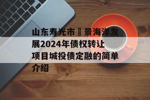 山东寿光市昇景海洋发展2024年债权转让项目城投债定融的简单介绍