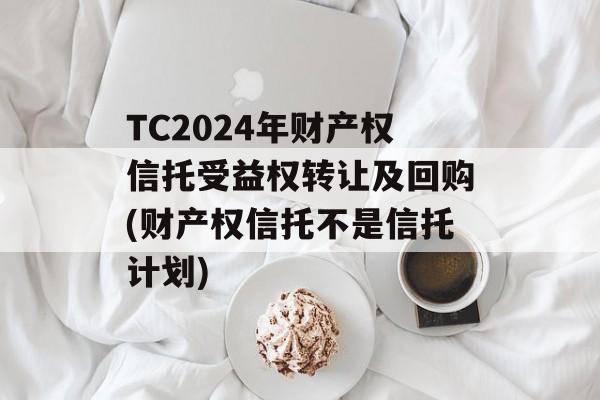 TC2024年财产权信托受益权转让及回购(财产权信托不是信托计划)