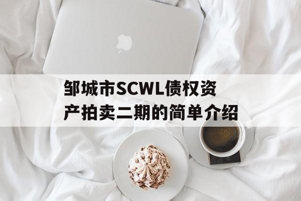 邹城市SCWL债权资产拍卖二期的简单介绍